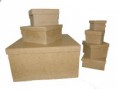 CAIXA TAMPA DE SAPATO 30X30X15 CM